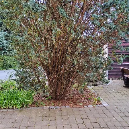 Pet Friendly Kleingiesshubel