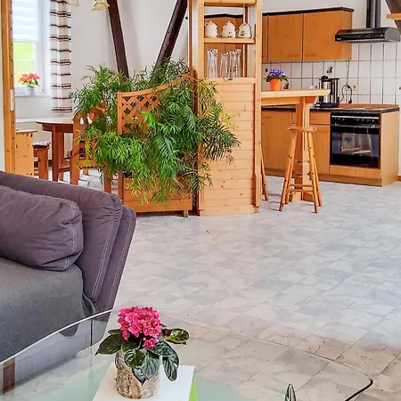 Amazing In Bad Schandau-kleing, Apartment